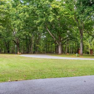 Photo #55 of 1765 Winesap Road, Madison Heights, VA 2.0 acres