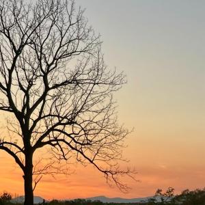 Photo #52 of 290 Green Acres Drive, Evington, VA 1.6 acres