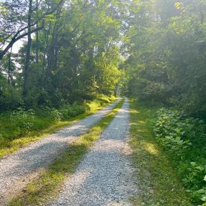 Photo #6 of 290 Green Acres Drive, Evington, VA 1.6 acres