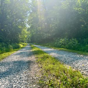 Photo #5 of 290 Green Acres Drive, Evington, VA 1.6 acres