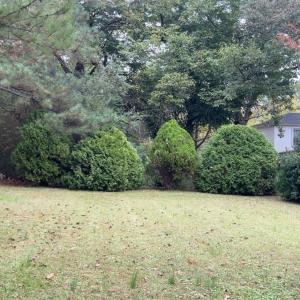 Photo #7 of 308 Randolph St., Phenix, VA 0.3 acres