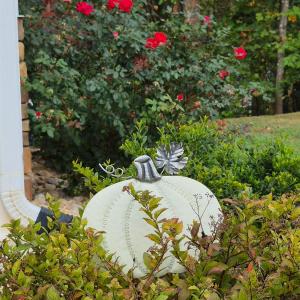 Photo #42 of 200 Bella Court, Lynchburg, VA 0.1 acres