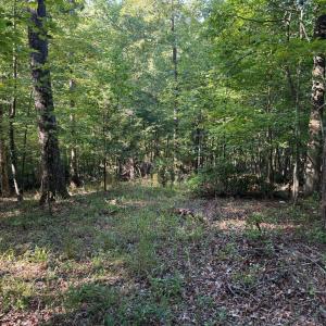 Photo #5 of 2 Cedar Bluff Lane, Hardy, VA 0.5 acres