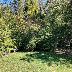 Photo #18 of 1287 Emerald Crest Dr, Bedford, VA 0.1 acres