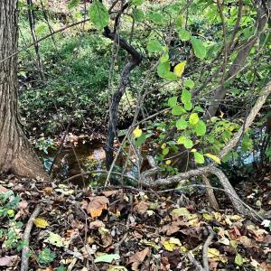 Photo #19 of 1287 Emerald Crest Dr, Bedford, VA 0.1 acres