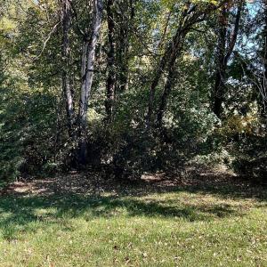 Photo #22 of 1287 Emerald Crest Dr, Bedford, VA 0.1 acres