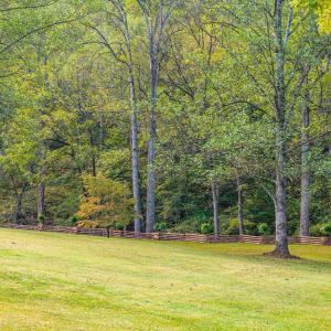 Photo #71 of 327 Hans Hill Drive, Madison Heights, VA 2.7 acres