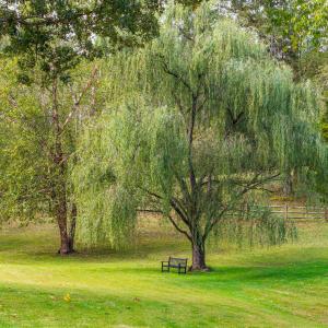 Photo #76 of 327 Hans Hill Drive, Madison Heights, VA 2.7 acres