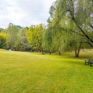 Photo #57 of 327 Hans Hill Drive, Madison Heights, VA 2.7 acres