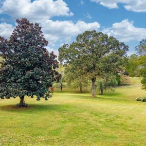 Photo #59 of 327 Hans Hill Drive, Madison Heights, VA 2.7 acres