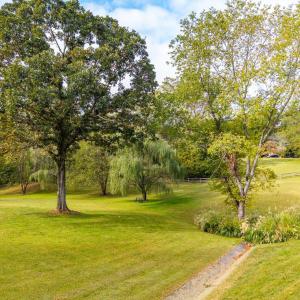 Photo #77 of 327 Hans Hill Drive, Madison Heights, VA 2.7 acres
