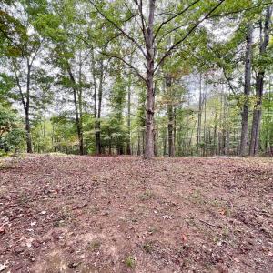 Photo #48 of 553 Gun Mountain Dr, Monroe, VA 10.1 acres