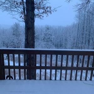 Photo #62 of 553 Gun Mountain Dr, Monroe, VA 10.1 acres