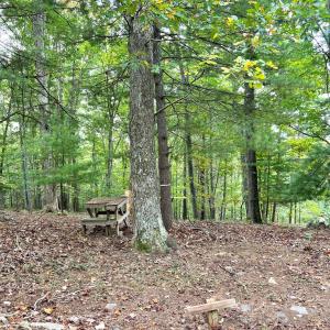 Photo #35 of 553 Gun Mountain Dr, Monroe, VA 10.1 acres