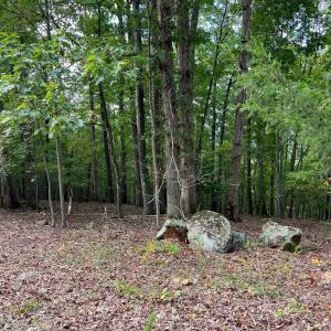 Photo #36 of 553 Gun Mountain Dr, Monroe, VA 10.1 acres