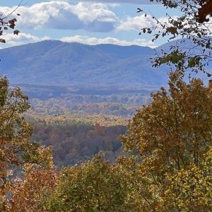 Photo #66 of 553 Gun Mountain Dr, Monroe, VA 10.1 acres