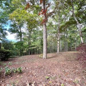 Photo #55 of 553 Gun Mountain Dr, Monroe, VA 10.1 acres