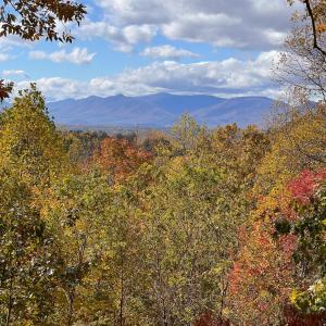 Photo #69 of 553 Gun Mountain Dr, Monroe, VA 10.1 acres