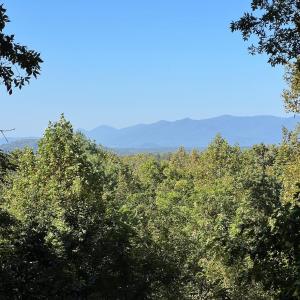 Photo #30 of 553 Gun Mountain Dr, Monroe, VA 10.1 acres