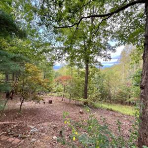Photo #51 of 553 Gun Mountain Dr, Monroe, VA 10.1 acres