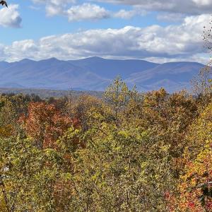 Photo #65 of 553 Gun Mountain Dr, Monroe, VA 10.1 acres