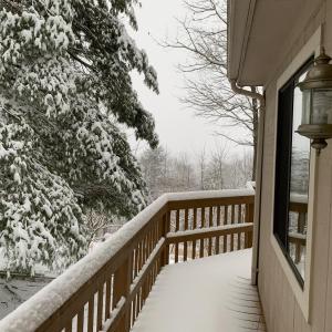 Photo #60 of 553 Gun Mountain Dr, Monroe, VA 10.1 acres