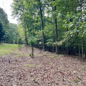 Photo #37 of 553 Gun Mountain Dr, Monroe, VA 10.1 acres