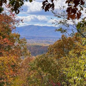 Photo #67 of 553 Gun Mountain Dr, Monroe, VA 10.1 acres