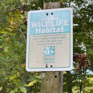 Photo #32 of 553 Gun Mountain Dr, Monroe, VA 10.1 acres