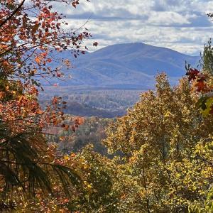 Photo #63 of 553 Gun Mountain Dr, Monroe, VA 10.1 acres