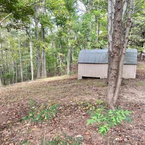 Photo #56 of 553 Gun Mountain Dr, Monroe, VA 10.1 acres