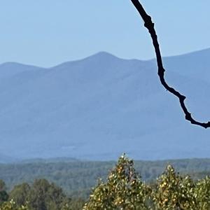 Photo #31 of 553 Gun Mountain Dr, Monroe, VA 10.1 acres