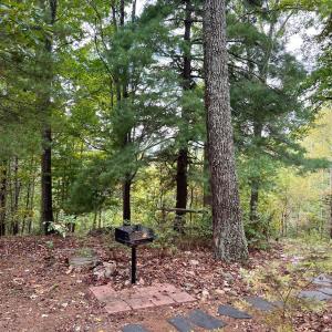 Photo #34 of 553 Gun Mountain Dr, Monroe, VA 10.1 acres