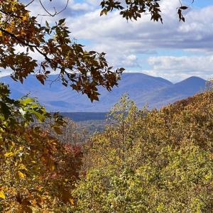 Photo #64 of 553 Gun Mountain Dr, Monroe, VA 10.1 acres