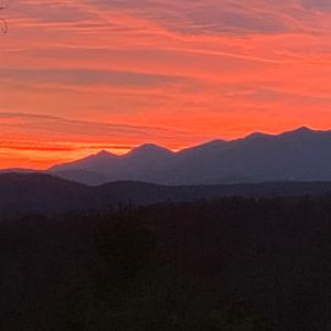 Photo #59 of 553 Gun Mountain Dr, Monroe, VA 10.1 acres