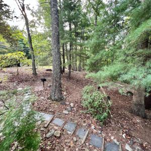 Photo #47 of 553 Gun Mountain Dr, Monroe, VA 10.1 acres