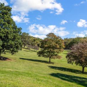 Photo #42 of 3803 Bedford Highway, Lynch Station, VA 3.3 acres