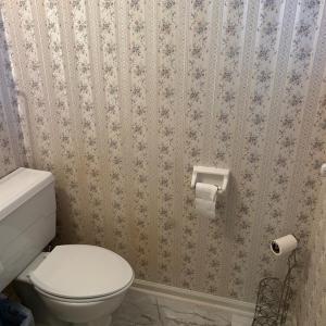 Half bath off master bedroom.