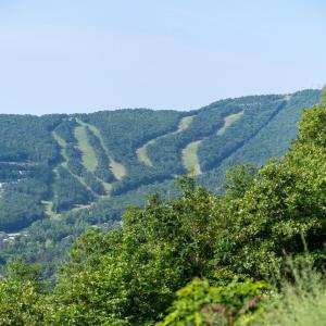 Photo #50 of 3076 Kidd Court, McGaheysville, VA 0.0 acres