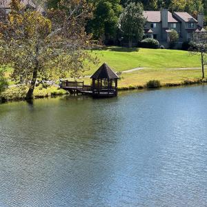 Photo #3 of 2212 Deer Run, Forest, VA