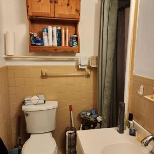 Photo #15 of 155 Wellington Drive, Lynchburg, VA 0.5 acres