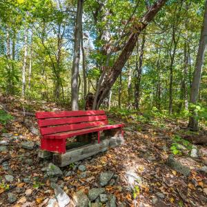 Photo #47 of 1795 Karnes Road, Bedford, VA 12.7 acres