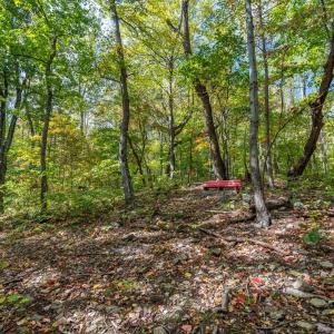 Photo #49 of 1795 Karnes Road, Bedford, VA 12.7 acres