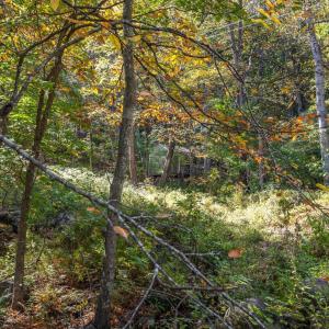 Photo #57 of 1795 Karnes Road, Bedford, VA 12.7 acres