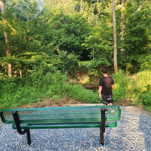 Photo #56 of 139 Ethan Court, Lynchburg, VA 0.2 acres