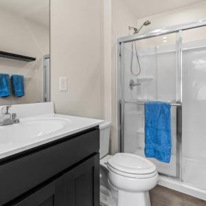 Primary Suite Shower