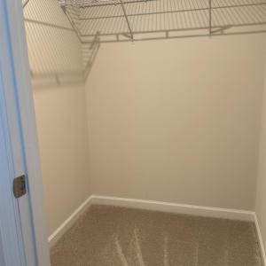 this room has a lighted walk-in closet also