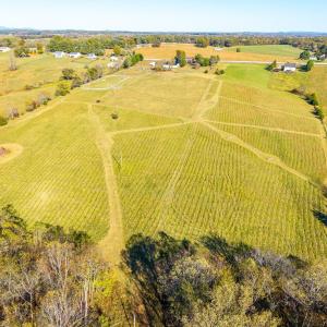 Photo #81 of 2631 Meadors Spur Road, Moneta, VA 22.8 acres