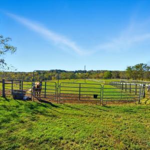 Photo #73 of 2631 Meadors Spur Road, Moneta, VA 22.8 acres