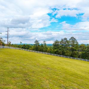 Photo #75 of 1704 Dearing Ford Road, Altavista, VA 79.5 acres